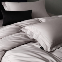 极简轻奢感100支长绒棉床上四件套纯棉床单床笠男生4件套