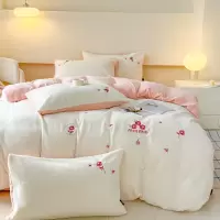 秋冬加厚卡通A类绣花多莉羊绒四件套保暖牛奶绒床单被套1