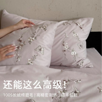 秋冬床品!100支刺绣长绒棉床上四件套纯棉磨毛床单床笠4