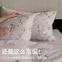 秋冬床品!100支刺绣长绒棉床上四件套纯棉磨毛床单床笠4