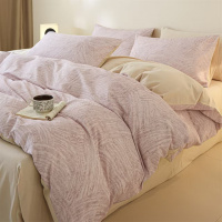 轻奢全棉磨毛床上四件套简约纯棉加厚秋冬床品套件被套床单三件套