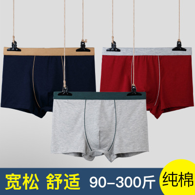 酒红色纯棉男士内裤宽松透气短裤全棉大码胖子平角裤青年四角裤头