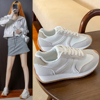 秋季新款韩版透气阿甘鞋女ins学生休闲鞋女德训跑步鞋