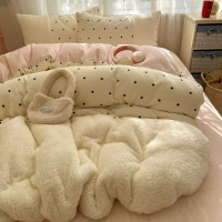 ins小波点牛奶绒拼接羊羔绒加厚四件套少女心韩系双面绒被套床单4