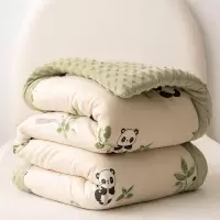 A类儿童双层纱豆豆被子被芯大豆被春秋被冬季小被子四季通用