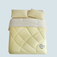 A类加厚冬被深睡被芯新款被子秋冬被芯四季通用宿舍