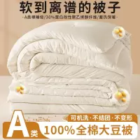 A类母婴级全棉大豆被加厚冬被纯棉保暖被芯春秋被子二合一子母被