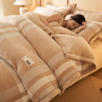 冬季可拆洗牛奶绒被子加厚冬被保暖珊瑚绒被套被芯一整套棉被同用