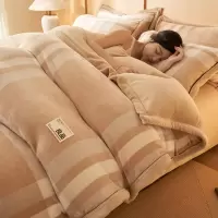冬季可拆洗牛奶绒被子加厚冬被保暖珊瑚绒被套被芯一整套棉被同用