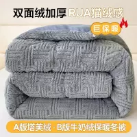 冬季塔芙绒棉被加厚保暖双面加绒被子冬被牛奶绒秋冬被芯单人被褥