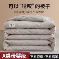 冬季大豆被子被芯加厚保暖冬被春秋被单人棉被被絮四季通用四季被