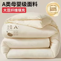 大豆纤维被子被芯学生宿舍单人春秋被空调被四季通用加厚保暖冬被