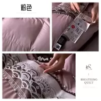 女神冬日优雅95白鹅绒被子冬天家用高档全棉羽绒被