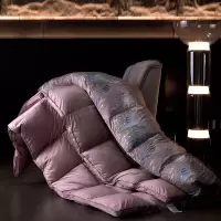 孔雀灵感~天丝棉95%白鹅绒被子冬季倘入云端加厚羽绒被芯