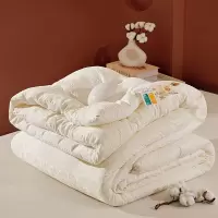 无印贡缎提花新疆棉花被春秋被冬被棉被加厚保暖被子学生宿舍被芯