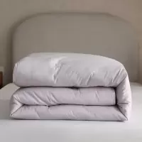 秋冬40S小提花全棉四季被芯双胎子母被纯棉冬季加厚保暖被子