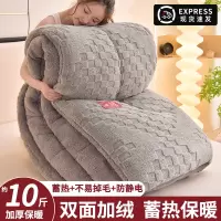 羊羔绒被子冬被加厚保暖棉被珊瑚绒秋冬季被芯冬天宿舍单人被褥