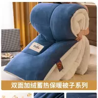 羊羔绒被子新款冬季棉被被芯冬天宿舍单人秋冬被加厚保暖通用