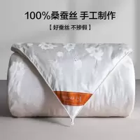 蚕丝被桑蚕丝被夏凉被子冬被春秋被空调被芯冬季春秋