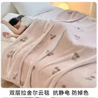 双层加厚冬季毛毯拉舍尔毯秋冬季盖毯沙发午睡毯单人宿舍毯子
