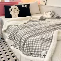 A类牛奶绒毛毯冬季加厚保暖羊羔绒盖毯午睡毯子沙发毯盖腿披肩毯