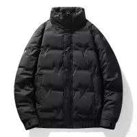 男装冬季白鸭绒羽绒服男宽松立领保暖纯色上衣面包服百搭男士外套