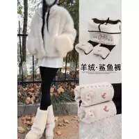 冬季加绒鲨鱼裤外穿女新款加厚保暖棉裤羊绒蚕丝瑜伽打底绒裤