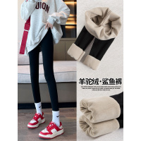 加绒鲨鱼裤女外穿新款春秋款大码紧身冬季加厚保暖棉裤打底裤