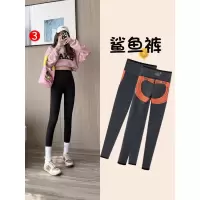 加绒鲨鱼裤女外穿新款秋冬季加厚保暖棉裤秋裤薄绒瑜伽打底裤