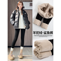 加绒鲨鱼裤女外穿新款秋冬季加厚保暖棉裤紧身黑色瑜伽打底裤