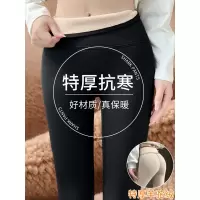 加绒鲨鱼裤女外穿秋冬季东北加厚保暖棉裤高腰显瘦瑜伽大码打底裤