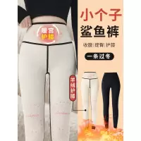 小个子加绒鲨鱼裤女外穿秋冬季加厚棉裤羊绒蚕丝保暖瑜伽打底裤子