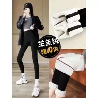 羊羔绒鲨鱼裤女外穿秋冬季加厚加绒裤子瑜伽紧身冬天打底保暖棉裤