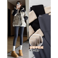 鲨鱼裤女外穿新款秋冬季加绒加厚驼绒棉裤瑜伽灰色保暖打底裤