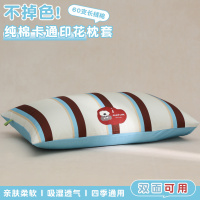 纯棉卡通枕套100全棉一对枕头套单个成人家用枕芯内胆套48cmx74cm