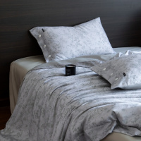 云端轻盈感天丝棉磨毛四件套春秋纽扣款枕套垂顺免熨床单被套床品