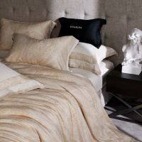 高丽欧式风120sLF级天丝棉磨毛四件套秋冬加厚被套触肤即暖