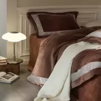 高端现代风高克重A类慕丝牛奶绒四件套秋冬柔软顺滑抗静电绒套件