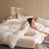 一款会呼吸的牛奶绒四件套全消光A类被套柔软机洗不变形不毛