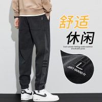 加绒加厚保暖休闲裤男士宽松紧腰潮牌束脚裤秋冬季新款哈伦裤子男