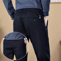 高端商务休闲裤男士秋季新款宽松直筒男士时尚百搭休闲长裤子