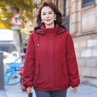 新款中老年女士休闲羽绒服外套女冬季保暖妈妈装鸭绒白羽绒90绒女