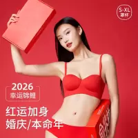 2026马年本命年红色内衣女聚拢小胸显大结婚新娘无痕文胸罩套装冬