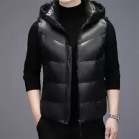 时尚立领坎肩羽绒马甲秋冬季新款男装中青年潮流休闲保暖背心