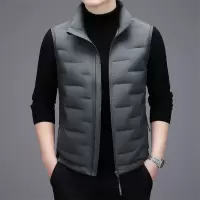 男士立领坎肩羽绒马甲秋冬季新款男装中青年商务休闲保暖背心