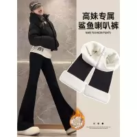 加绒喇叭鲨鱼裤女外穿秋冬羊羔绒加厚保暖棉裤瑜伽冬季微喇打底裤