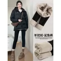 加绒鲨鱼裤女外穿新款秋冬季加厚保暖棉裤紧身瑜伽大码打底裤