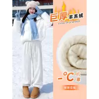 羊羔绒裤子女新款秋冬加绒加厚灰色保暖棉裤小个子阔腿运动裤