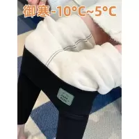 黑色打底裤女外穿秋冬季加绒加厚羊绒蚕丝保暖裤高腰紧身大码秋裤