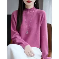 浣熊绒珠片半高领毛衣打底衫女秋冬新款宽松套头百搭打底针织衫女